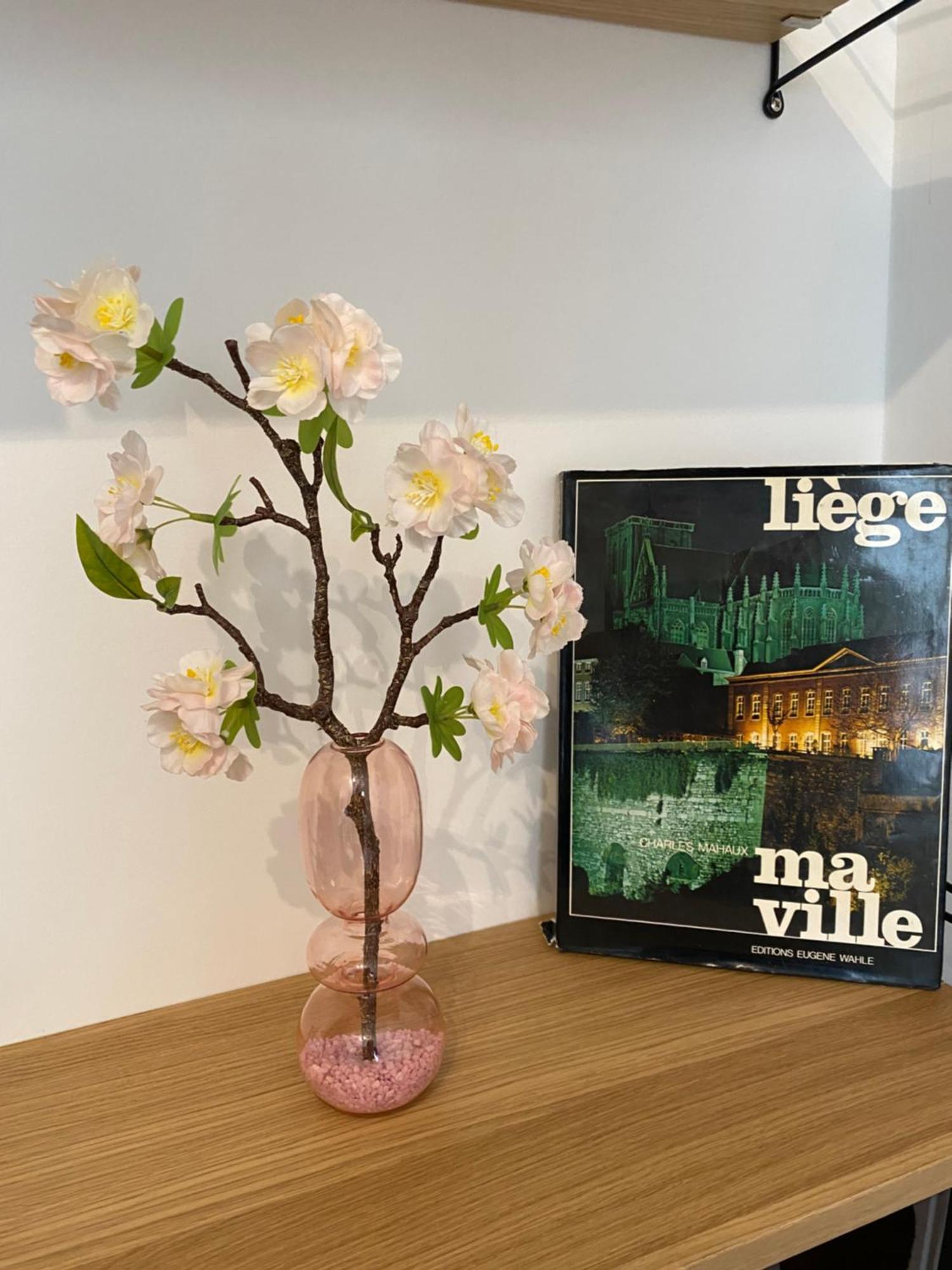 Sweet Home Liege Ngoại thất bức ảnh